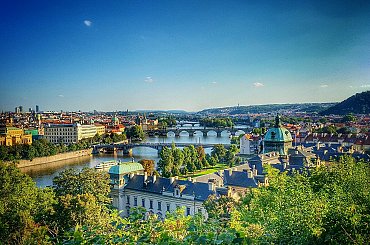Největší výskyt potkanů v Praze zaznamenali deratizátoři v okolí stavenišť