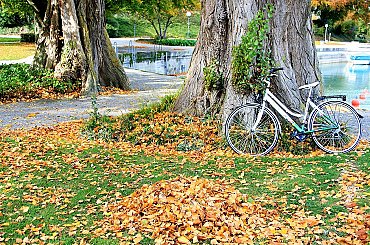 Na jaře začne stavba komunikace kolem jezera Medard za 658 milionů korun