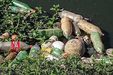 Měst zapojených do projektu Třídím gastro stále přibývá. Kuchyňský odpad třídí od září Bruntál, Svitavy a Libina
