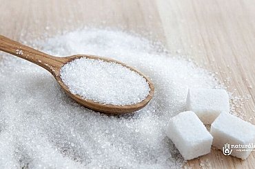 Cukrovar v Opavě má novou kotelnu na zemní plyn a bioplyn za čtvrt miliardy Kč