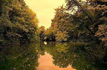 Svazy chtějí s MZe a MŽP řešit ochranu zvířat, které ohrožují chov či prostředí